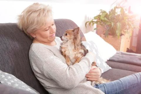 Dog in the lap Stock Photos