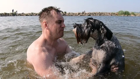 Dog learns to swim on the river Stock Footage 114428424