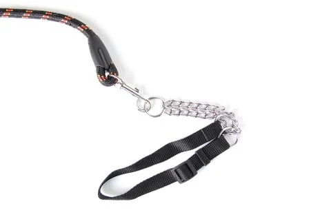 Dog leash Stockfoto's