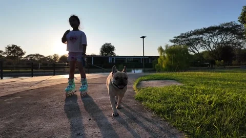 Dog on a leash walking with roller skating girl against sun light. Stockbeeldmateriaal 265011561