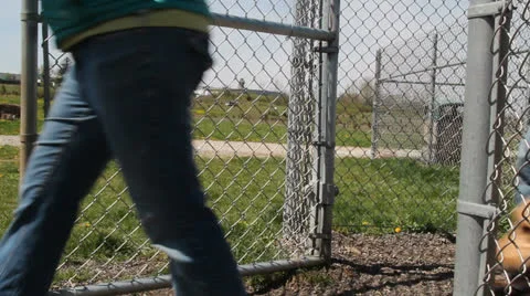 Dog leaving the park Vidéo 22770539
