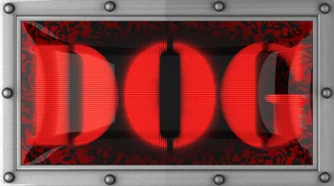 Dog on led Видео 8699700
