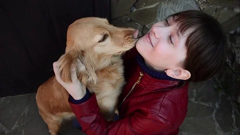 Young Teen Dog Lick