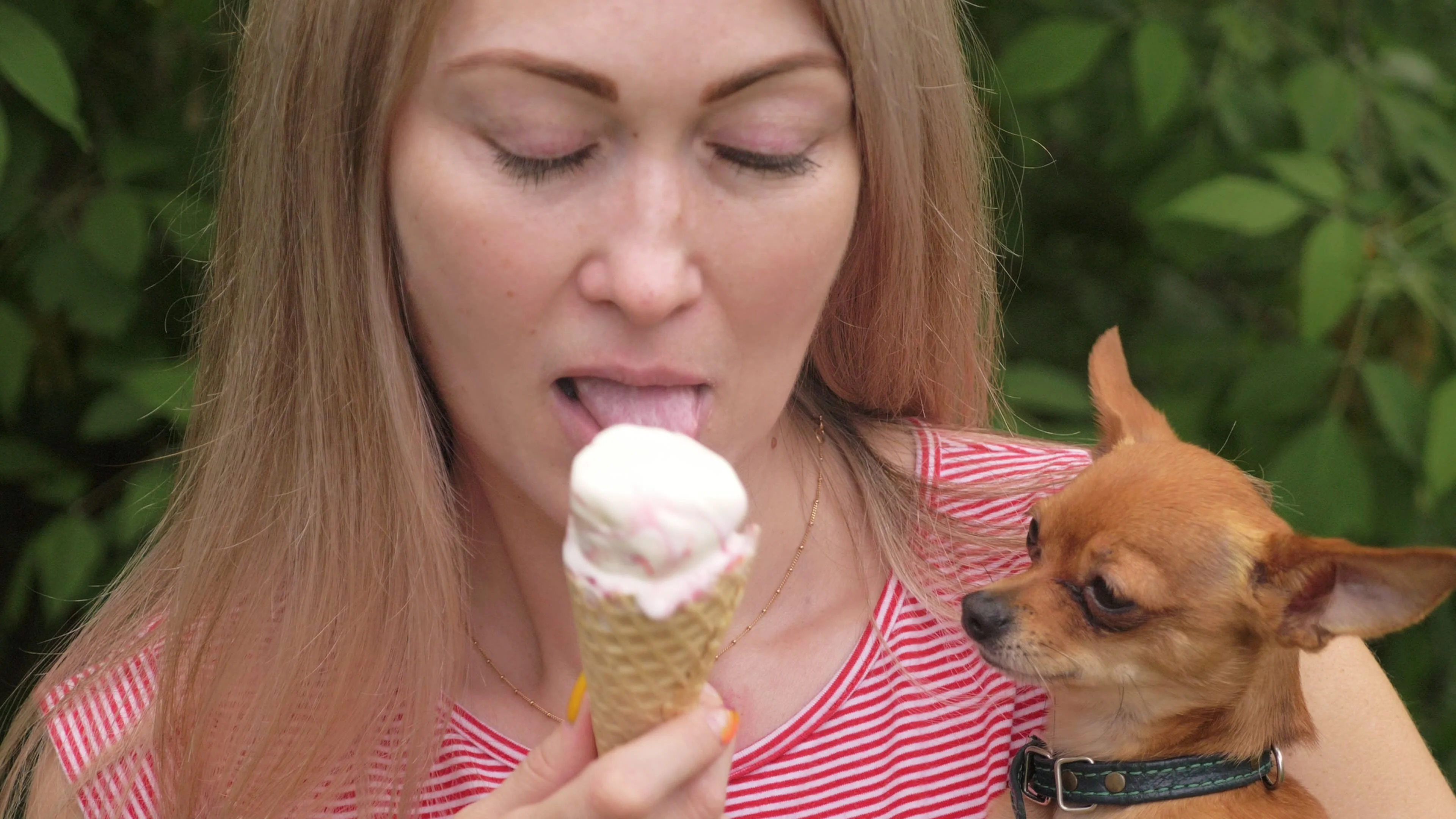 can dogs lick ice cream