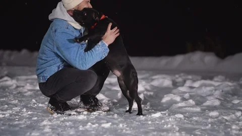 The dog licks its master. Winter walk. Terrier. Stockbeeldmateriaal 147071031