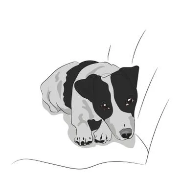 Dog lies on the floor, vector Stock Illustration
