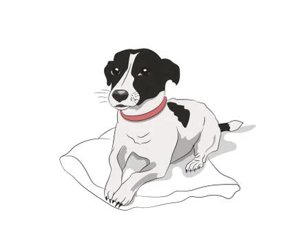 Dog lies on the floor, vector Stock Illustration