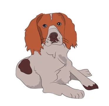 Dog lies on the floor, vector Stock Illustration