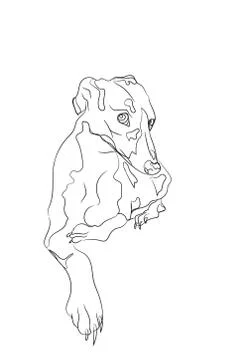 Dog lies, lines, vector, Stock Illustration