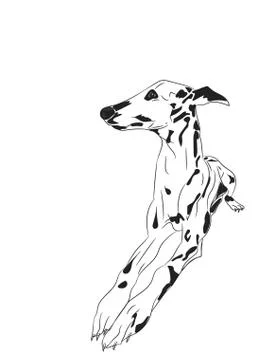 Dog lies, lines, vector, Illustrazione stock