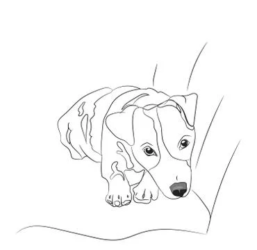 Dog lies, lines, vector, Stock Illustration