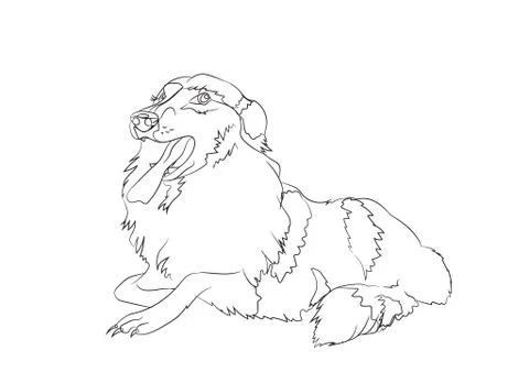 Dog lies, lines, vector, Stock Illustration