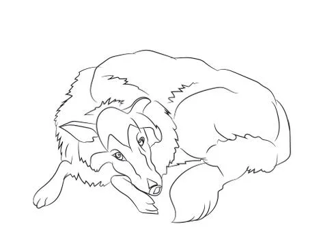 Dog lies, lines, vector, Stock Illustration