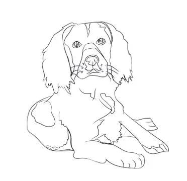 Dog lies, lines, vector, Stock Illustration