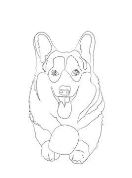 Dog lies, lines, vector, Illustrazione stock