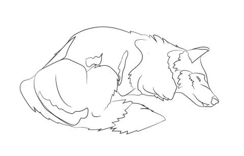 Dog lies, lines, vector, Stock Illustration