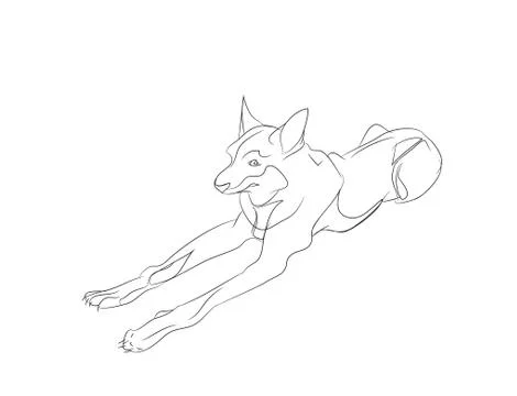 Dog lies, lines, vector, Stock Illustration