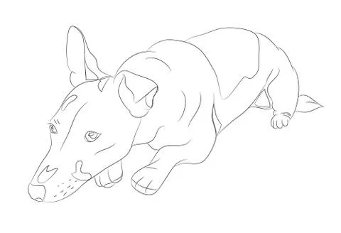 Dog lies, lines, vector, Stock Illustration