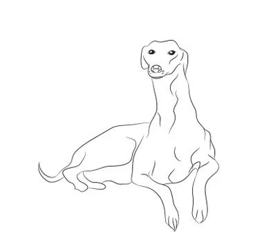Dog lies, lines, vector, Stock Illustration