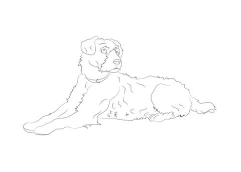 Dog lies, lines, vector, Stock Illustration