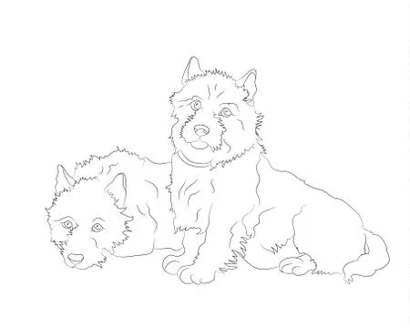 Dog lies, lines, vector, Stock Illustration
