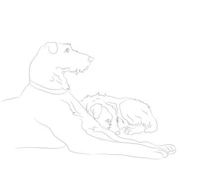 Dog lies, lines, vector, Stock Illustration