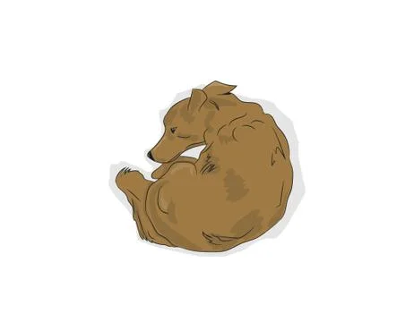 Dog lies, vector Stock Illustration