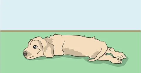 Dog lies  vector, Stock Illustration