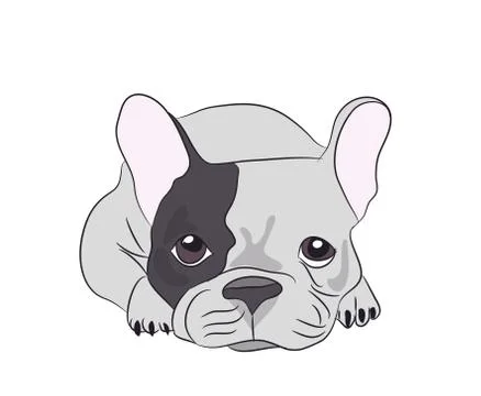 Dog lies, vector Stock-Illustration