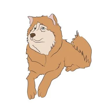 Dog lies, vector Stock-Illustration