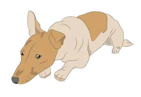 Dog lies, vector Stock-Illustration
