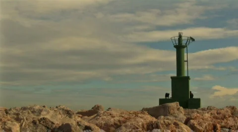 Dog at the lighthouse 库存影片 642904