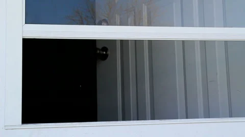 Dog looking out a door 動画素材 2923213