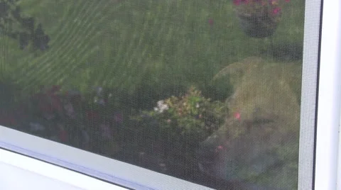 Dog looking out a window 動画素材 53831094