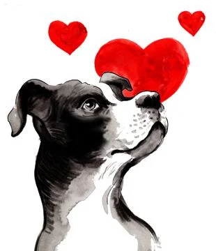 Dog in love Stock Illustration