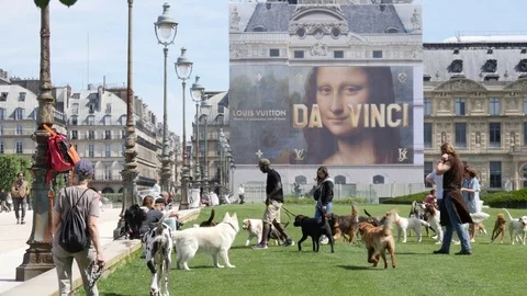 Dog lovers with their pets walking on a lawn grass in park near the Paris Louvre Vídeos de archivo 76998814