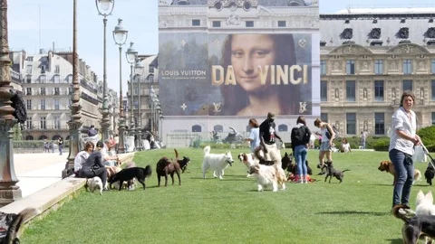 Dog lovers with their pets walking on a lawn grass in park near the Louvre Paris Vídeos de archivo 76998852