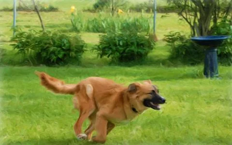 The Dog Loves To Run Stock Illustration