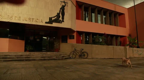 Dog Lying Down In Front of The Sala de Juicios in Costa Rica HD Video Stock Footage 25066060