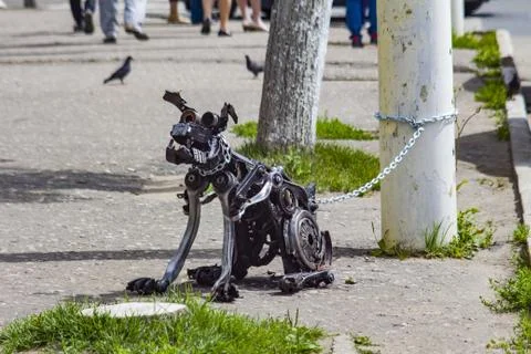 The dog is made of a metal garbage Stock Photos