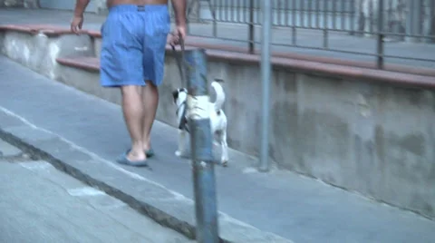 Dog with man. Stock Footage 30399091