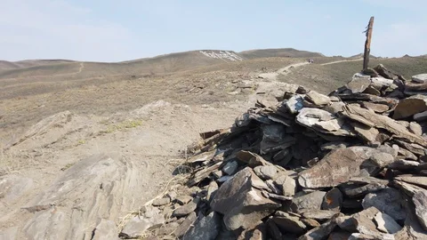 Dog in the mountains Video stock 129731216