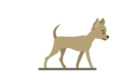 Dog new 動画素材 169696892