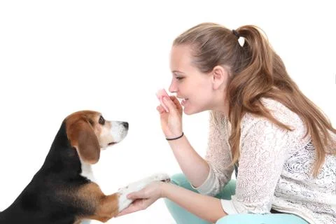Dog obedience training Stock Photos