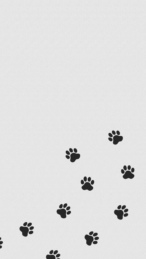 Dog or cat paw prints animation. Walking animal footprints. Embedded alpha .. Stock Footage 339302765