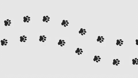 Dog or cat paw prints animation. Walking animal footprints. Embedded alpha .. Stock Footage 339818664
