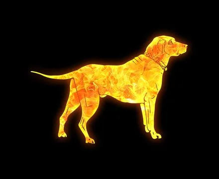 Dog outline with a bright fire pattern isolated on a black background Stock Illustration