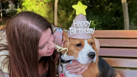 Dog owner cuddles a beagle wearing a Happy Birthday party hat outdoors, joyful Stock Footage 344090664