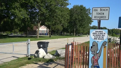 DOG OWNER WITH DOG ENTERING CODE TO GO THROUGH GATE TO LAKE DOG BEACH Stock Footage 106140243