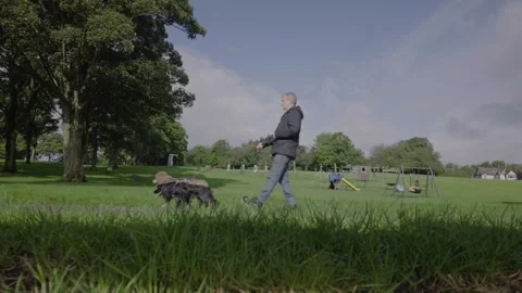 Dog Owner Exercising Two Dogs on Leads Through Public Park Stock Footage 345618135